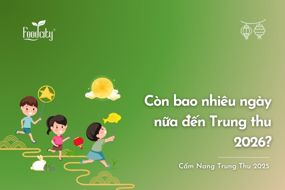 Còn bao nhiêu ngày nữa đến Trung thu 2026? Lịch âm và dương chi tiết 