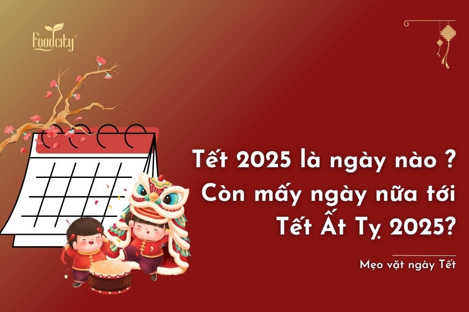 Tết 2025 là ngày nào ? Còn mấy ngày nữa tới Tết 2025?