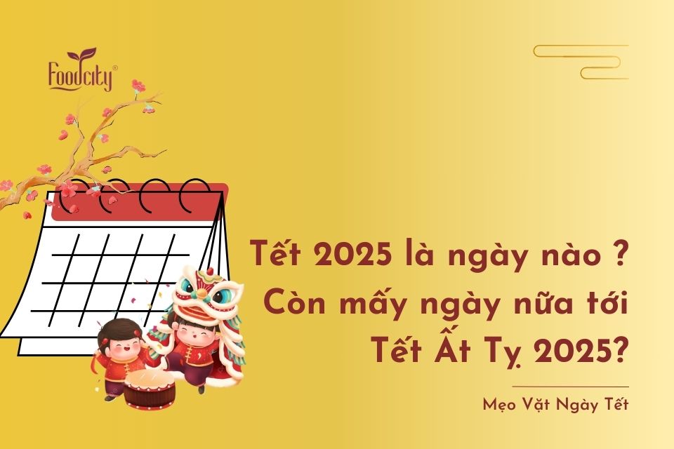 Tết 2025 là ngày nào ? Còn mấy ngày nữa tới Tết 2025?