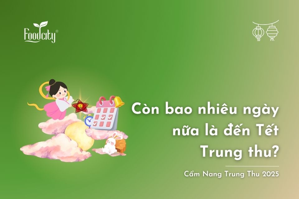 Còn bao nhiêu ngày nữa là đến Tết Trung thu 2025? Còn bao nhiêu ngày nữa là đến Tết Trung thu 2025?