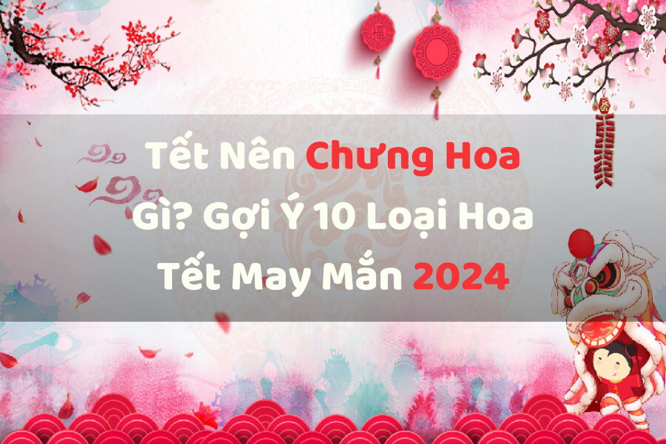 Tết Nên Chưng Hoa Gì? Gợi Ý 10 Loại Hoa Tết May Mắn 2024 Tết Nên Chưng Hoa Gì? Gợi Ý 10 Loại Hoa Tết May Mắn 2024