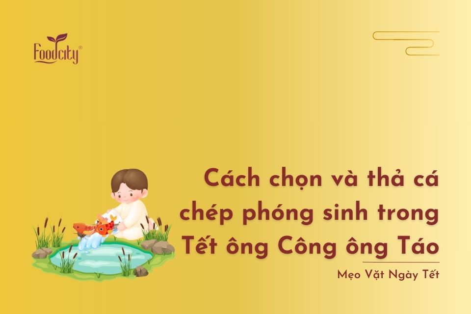 Cách chọn và thả cá chép phóng sinh trong Tết ông Công ông Táo