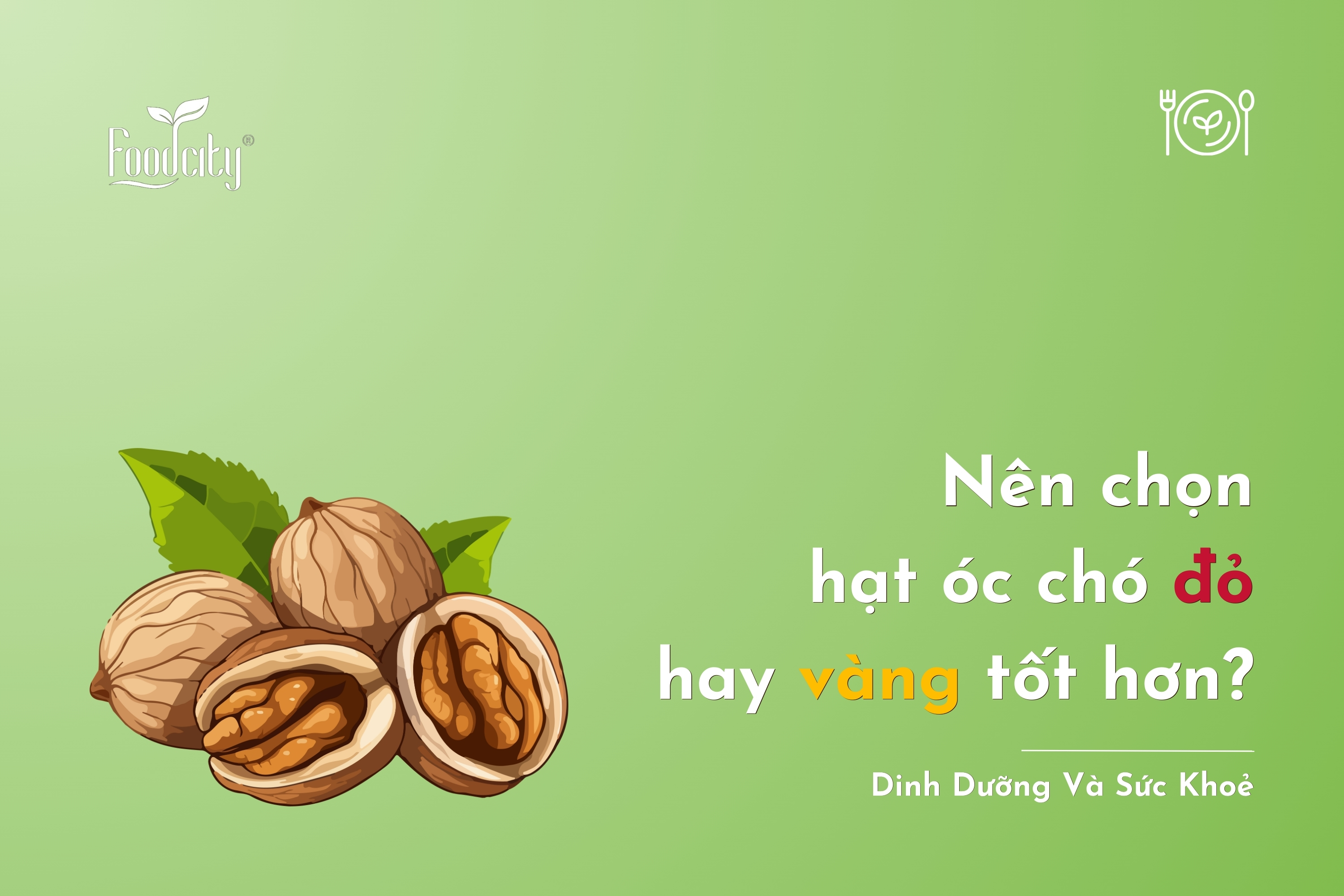 Nên chọn hạt óc chó đỏ hay vàng tốt hơn? Nên chọn hạt óc chó đỏ hay vàng tốt hơn?