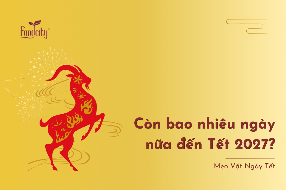 Còn bao nhiêu ngày nữa đến tết 2027? Còn bao nhiêu ngày nữa đến tết 2027?