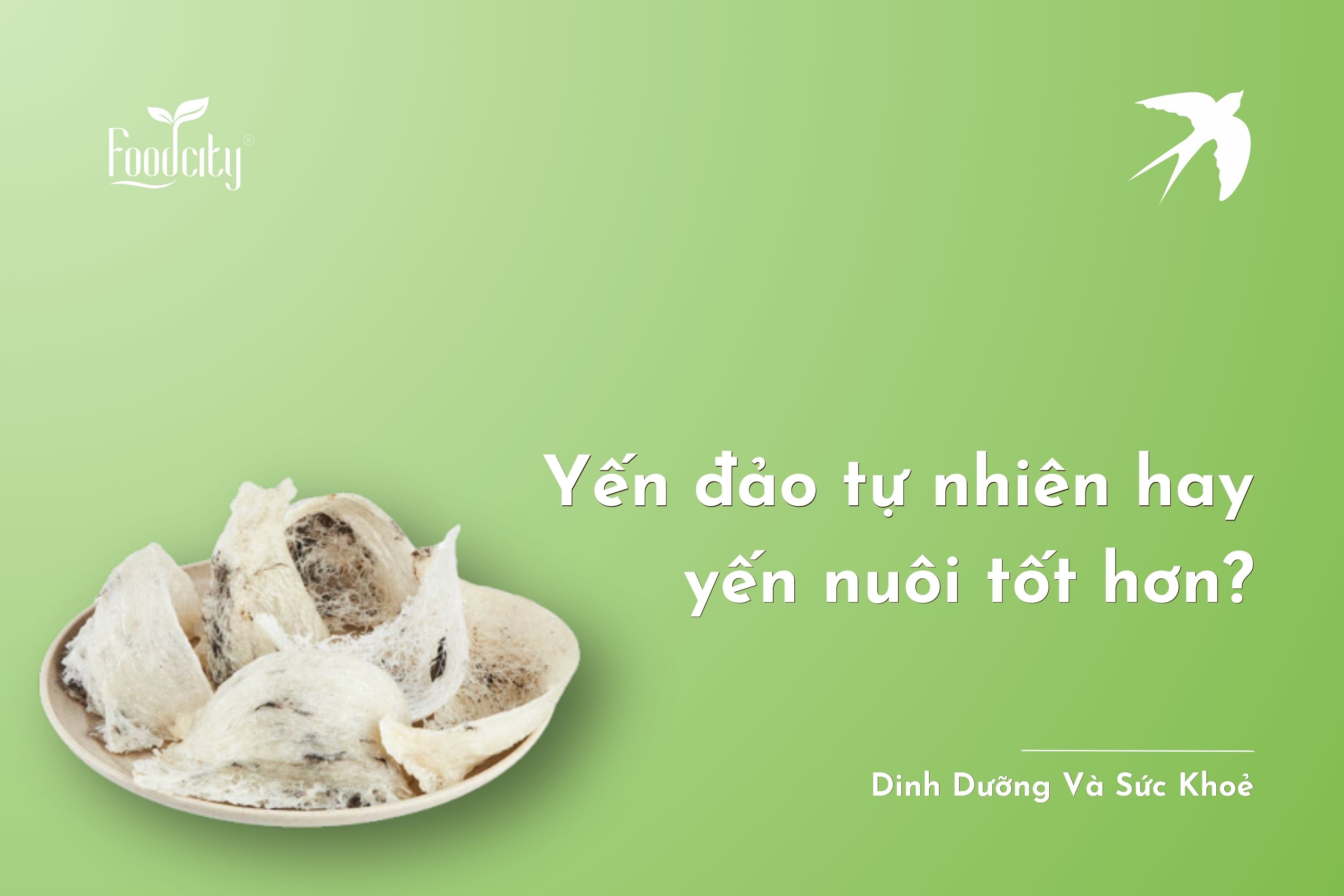 Yến đảo tự nhiên hay yến nuôi tốt hơn? Yến đảo tự nhiên hay yến nuôi tốt hơn?