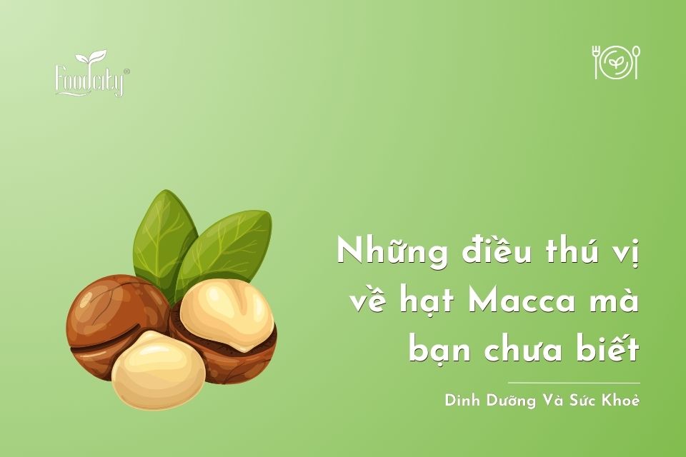 Những điều thú vị về hạt Macca mà bạn chưa biết