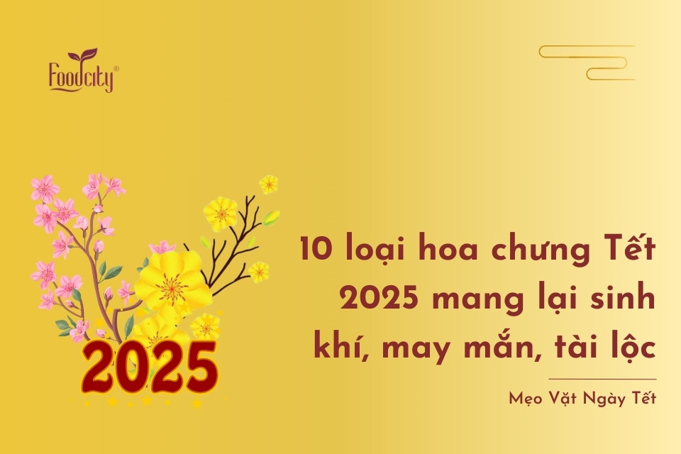 10 loại hoa chưng Tết 2025 mang lại sinh khí, may mắn, tài lộc 10 loại hoa chưng Tết 2025 mang lại sinh khí, may mắn, tài lộc