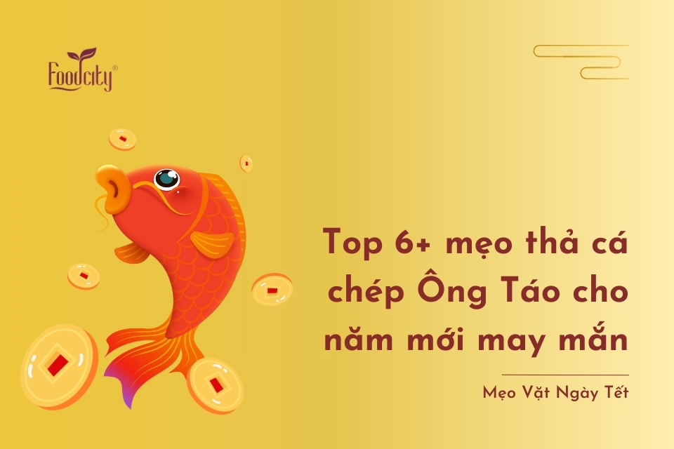 Top 6+ mẹo thả cá chép Ông Táo cho năm mới may mắn Top 6+ mẹo thả cá chép Ông Táo cho năm mới may mắn
