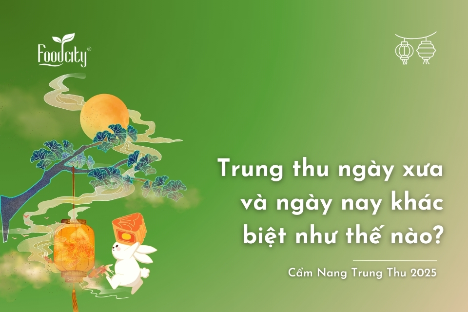Trung thu ngày xưa và ngày nay khác biệt như thế nào? Trung thu ngày xưa và ngày nay khác biệt như thế nào?