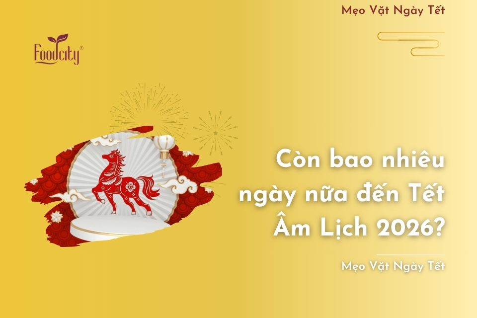 Còn bao nhiêu ngày nữa đến Tết Âm Lịch 2026?