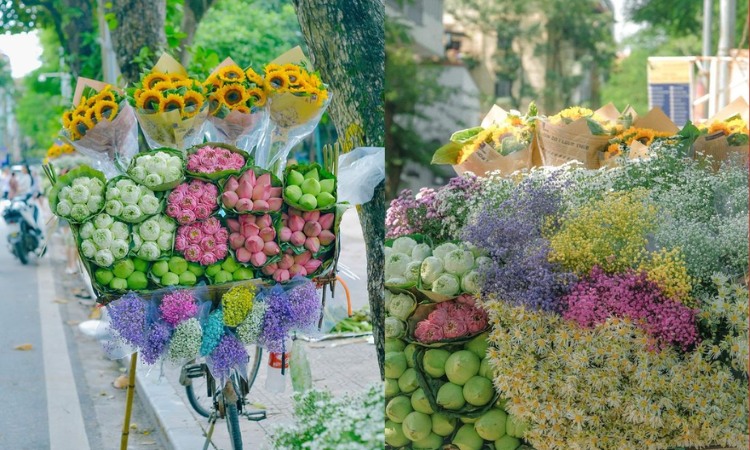 bảo quản hoa chưng tết