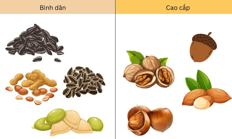 các loại hạt ăn ngày tết