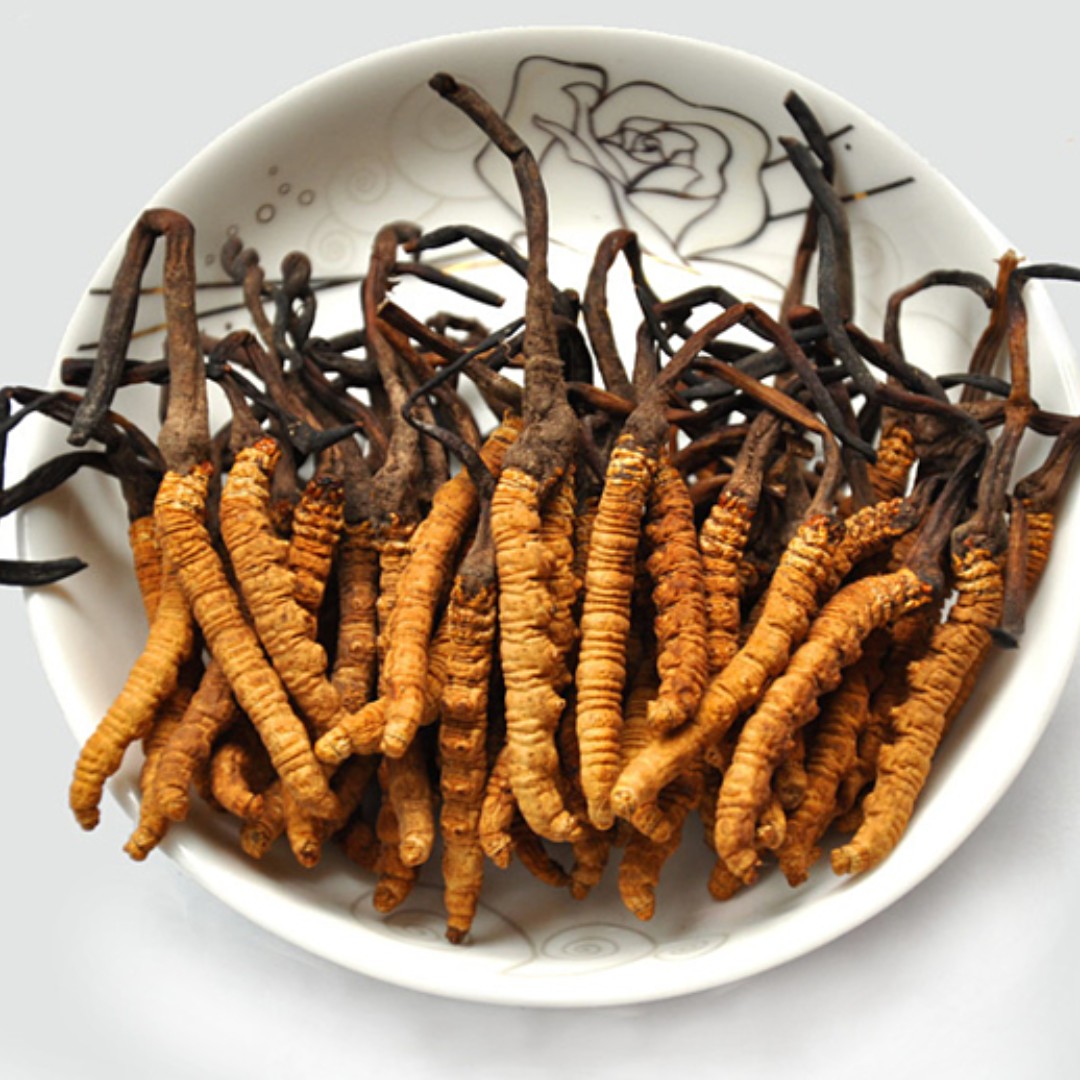 Đông trùng hạ thảo