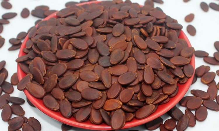 hạt dưa đỏ