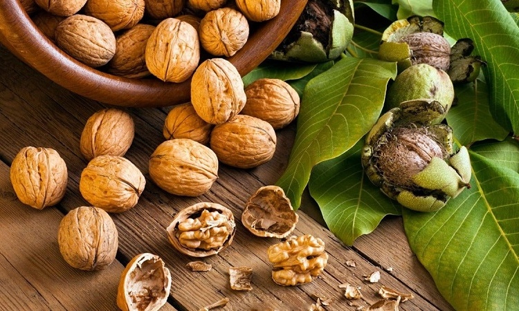 hạt óc chó
