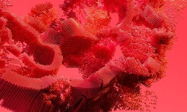 Hình ảnh màu Sunset Coral