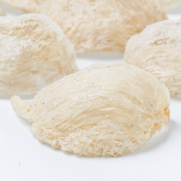 hình dáng tổ yến hơi tròn
