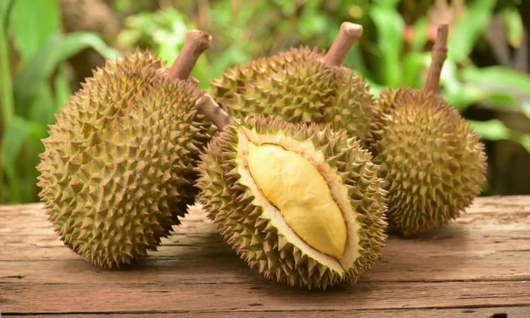 kieng-an-sau-rieng