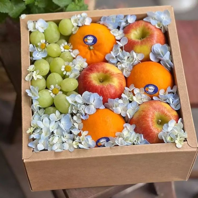 quà tết trái cây