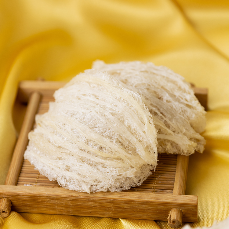 tổ yến rút lông