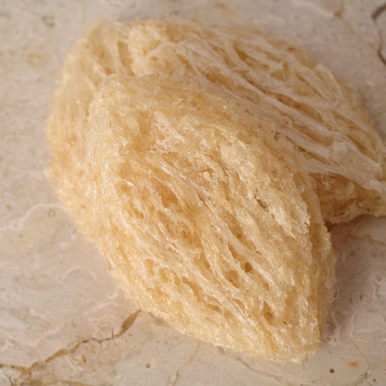 tổ yến tinh chế 10gr