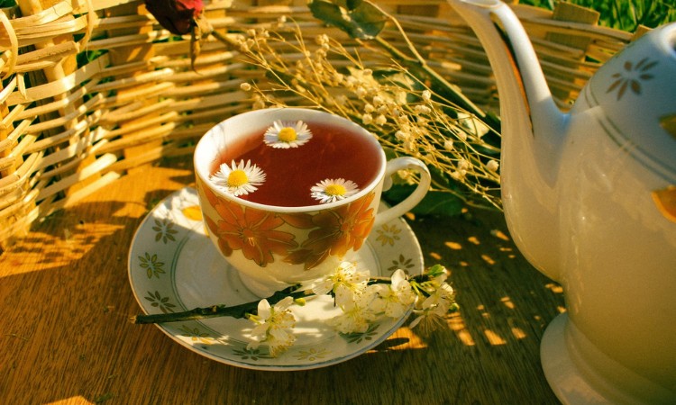 uống trà ngắm trăng tròn
