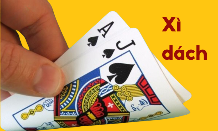 xi-dach