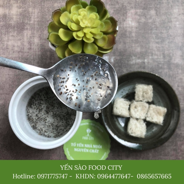 yến chưng đường phèn