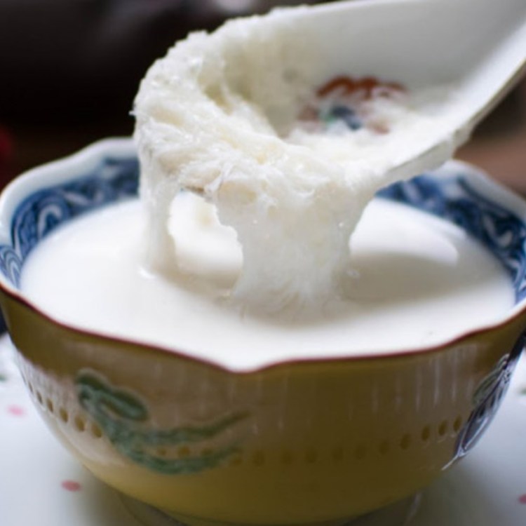 yến chưng sữa tươi