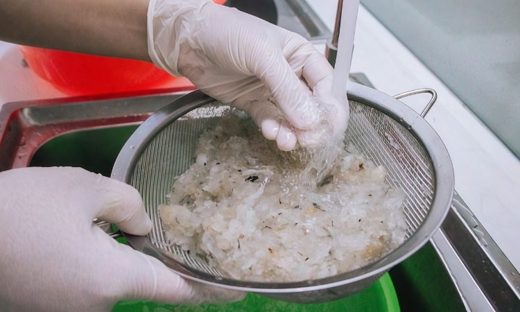Yến sào sơ chế 