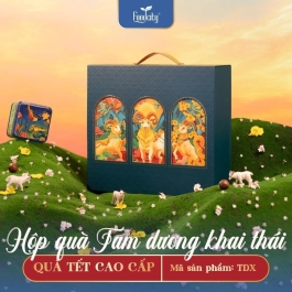Quà Tết cao cấp 2027 Tam Dương Khai Thái màu xanh