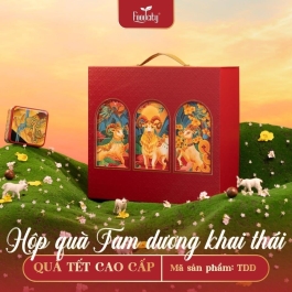 Quà Tết cao cấp 2027 Tam Dương Khai Thái phiên bản đỏ